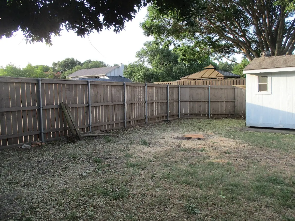 Cleared yard after professional tree removal in Ville Platte